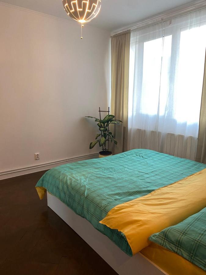 Zaza Apartament - Central Area, With Balcony Târgu Jiu Eksteriør billede